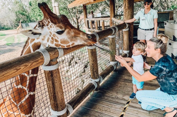 Kids Get Free Admission This November At Jacksonville Zoo